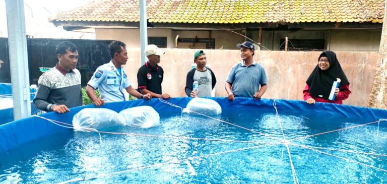 Gunakan Media Kolam Bioflok, WBP Lapas Kalianda Olah Keterampilan Budidaya Ikan Air Tawar.