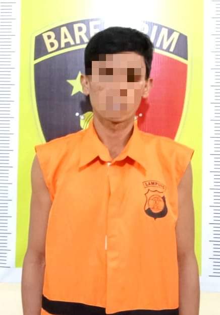 Tekab 308 Polsek Tanjung Bintang Tangkap Seorang Pelaku Curat, Tiga Pelaku DPO